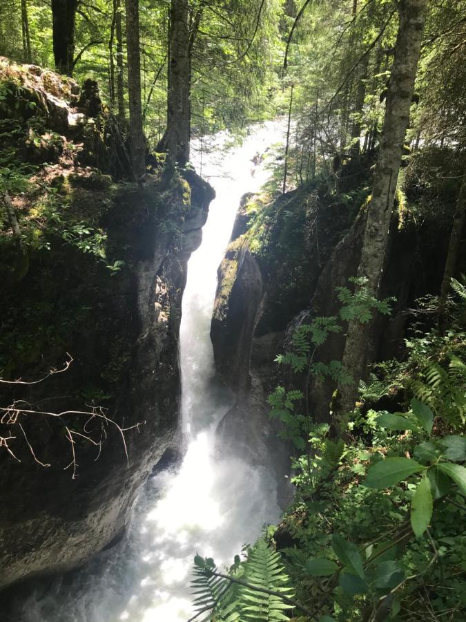 Kleine Ferienwohnung Am Rande Der Wildnis Sibratsgfall Luaran gambar