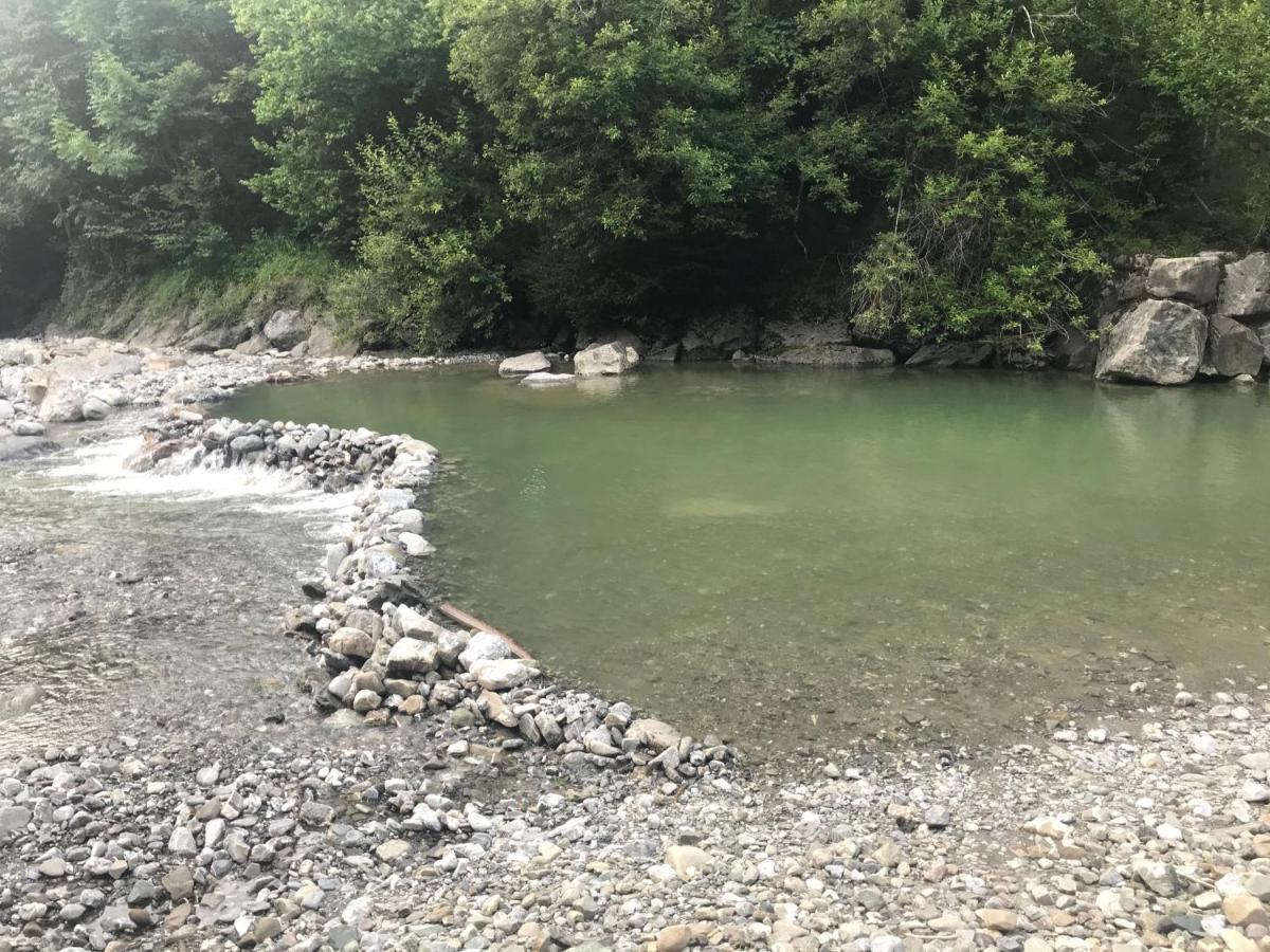 Kleine Ferienwohnung Am Rande Der Wildnis Sibratsgfall Luaran gambar