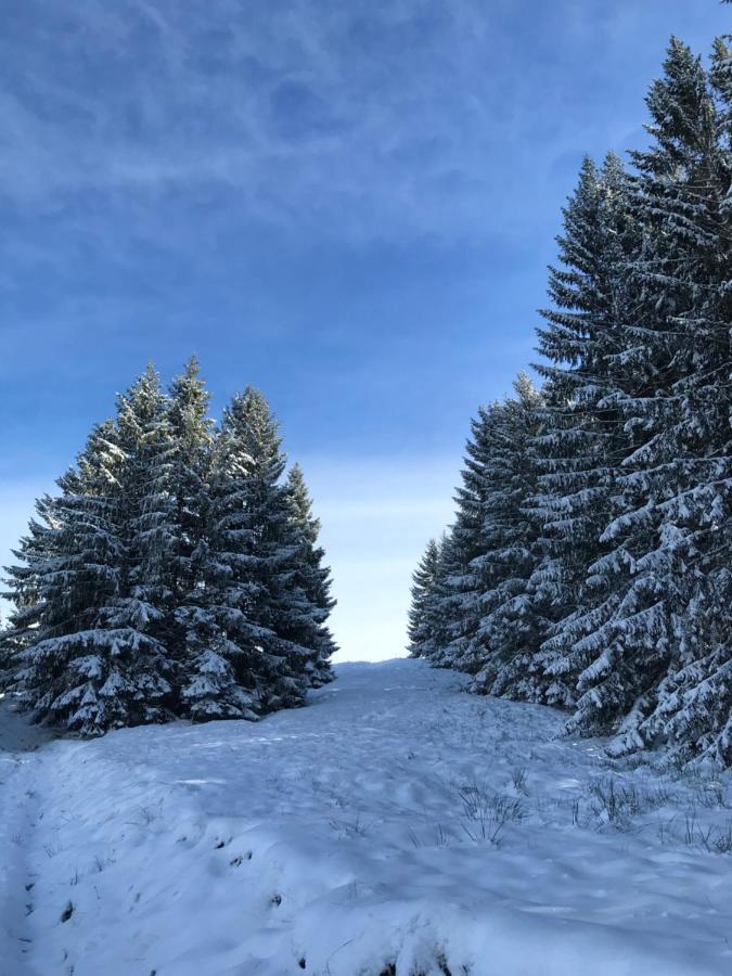 Kleine Ferienwohnung Am Rande Der Wildnis Sibratsgfall Luaran gambar