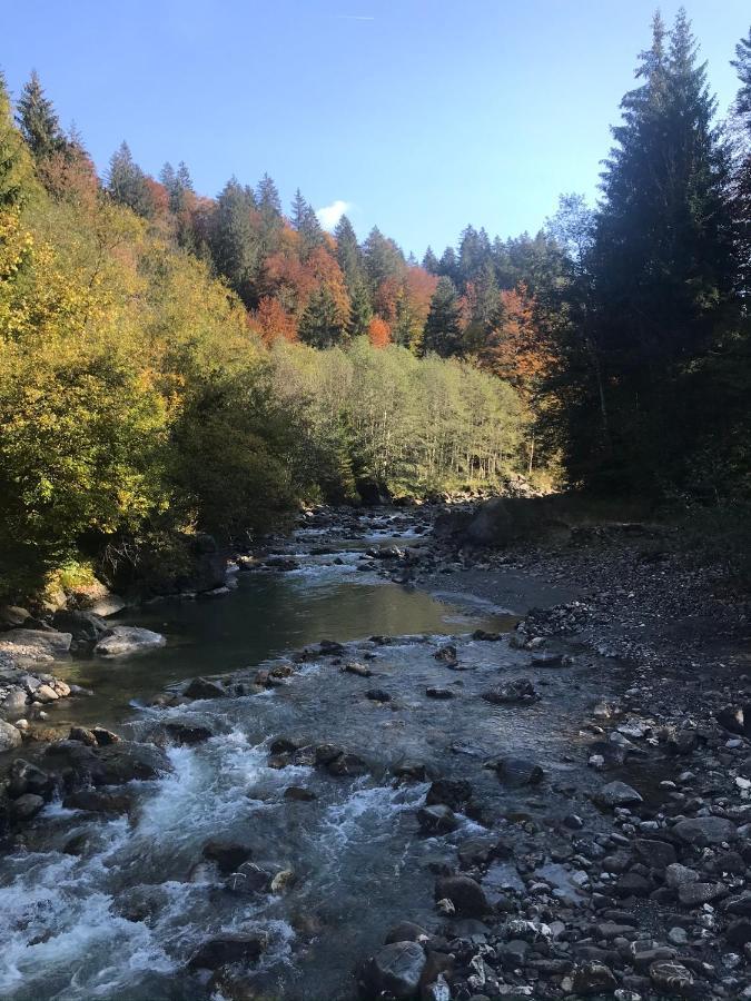 Kleine Ferienwohnung Am Rande Der Wildnis Sibratsgfall Luaran gambar