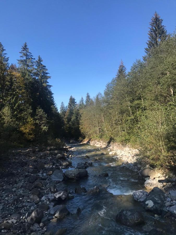 Kleine Ferienwohnung Am Rande Der Wildnis Sibratsgfall Luaran gambar